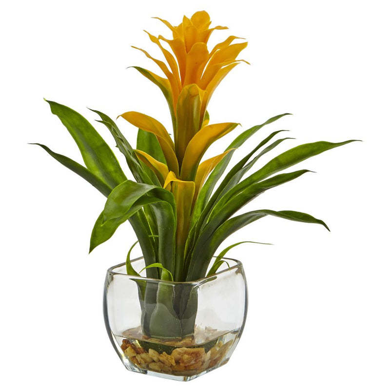 Bromeliad with Vase Arrangement Default Title