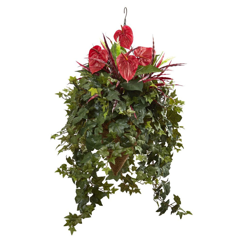 Mixed Anthurium Hanging Basket Default Title