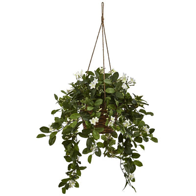 Mixed Stephanotis Hanging Basket Default Title