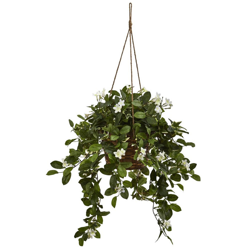 Mixed Stephanotis Hanging Basket Default Title