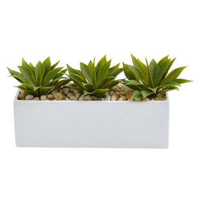 Agave Succulent in Rectangular Planter Default Title