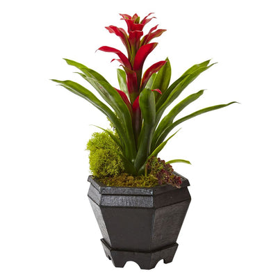 Bromeliad in Black Hexagon Planter Default Title