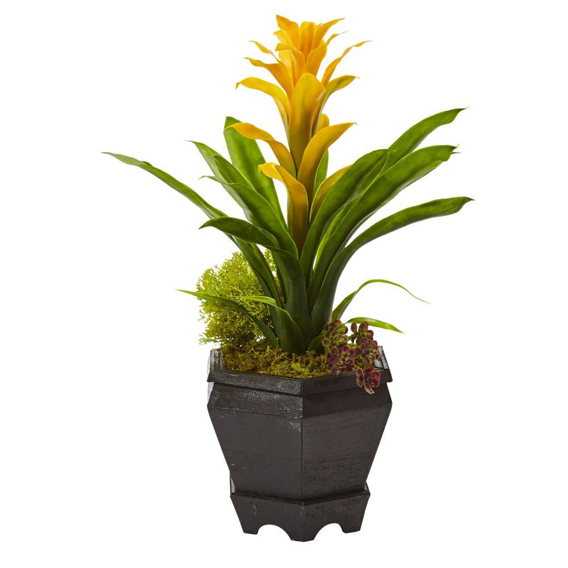 Bromeliad in Black Hexagon Planter Default Title