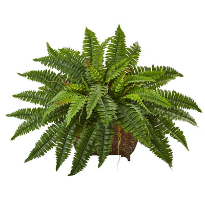 Boston Fern in Metallic Planter Default Title