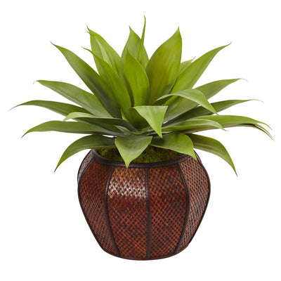 Agave Succulent in Weave Planter Default Title