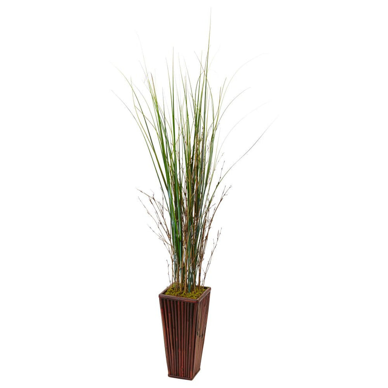 Bamboo Grass in Bamboo Planter Default Title