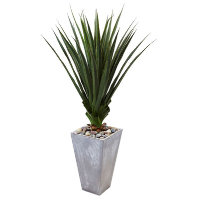 Spiked Agave in Cement Planter (Indoor/Outdoor) Default Title