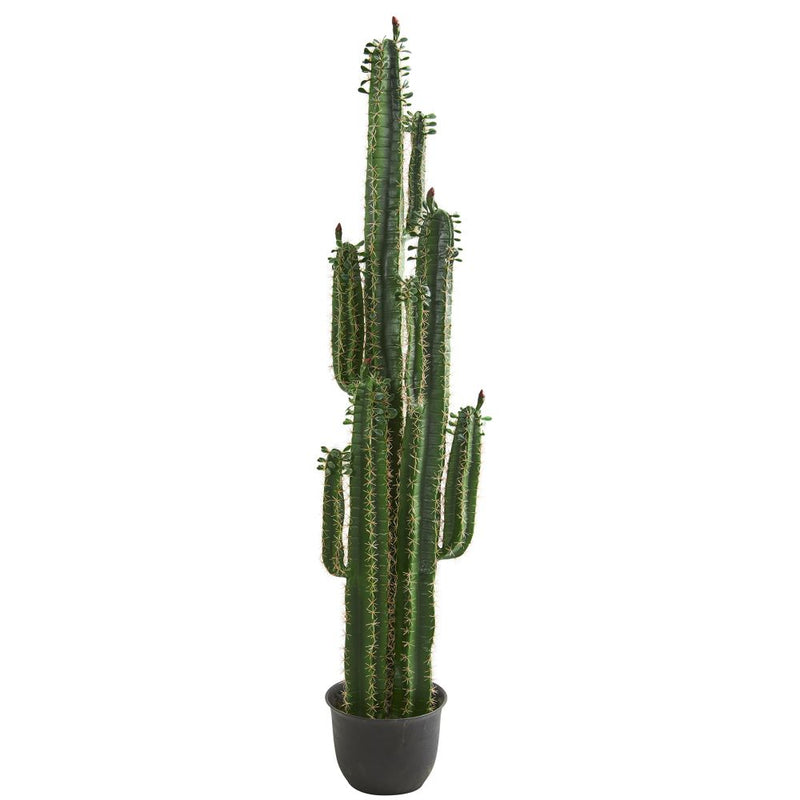 6.5’ Cactus Artificial Plant Default Title