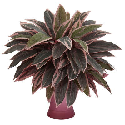 Caladium Artificial Plant in Rose Vase Default Title