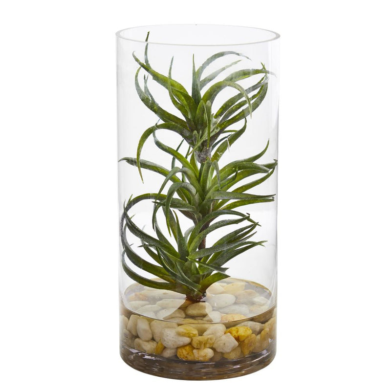 Air Plant Artificial Succulent in Glass Vase Default Title