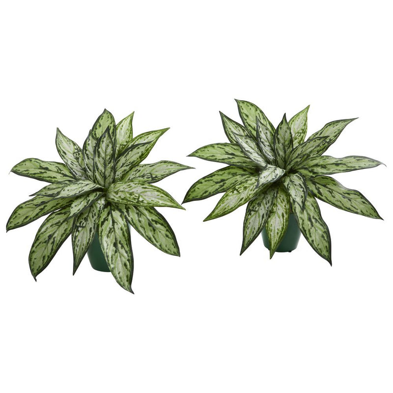 Silver Queen Artificial Plant in Green Planter (Set of 2) Default Title