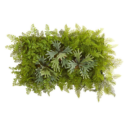 38 x 23” Staghorn and Fern Artificial Living Wall Default Title