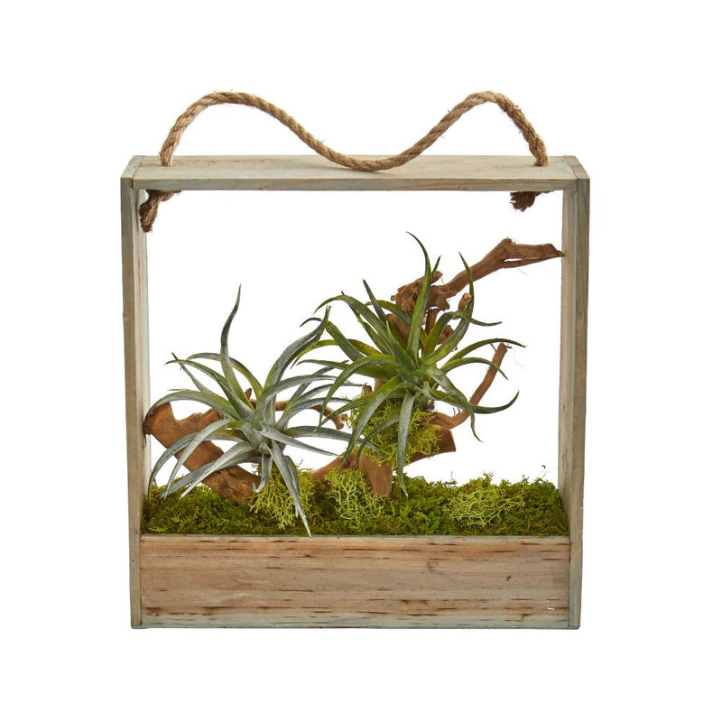 Air Plant Artificial Succulent in Decorative Hanging Frame Default Title