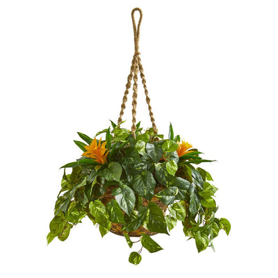 31” Bromeliad & Pothos Artificial Plant in Hanging Basket Default Title