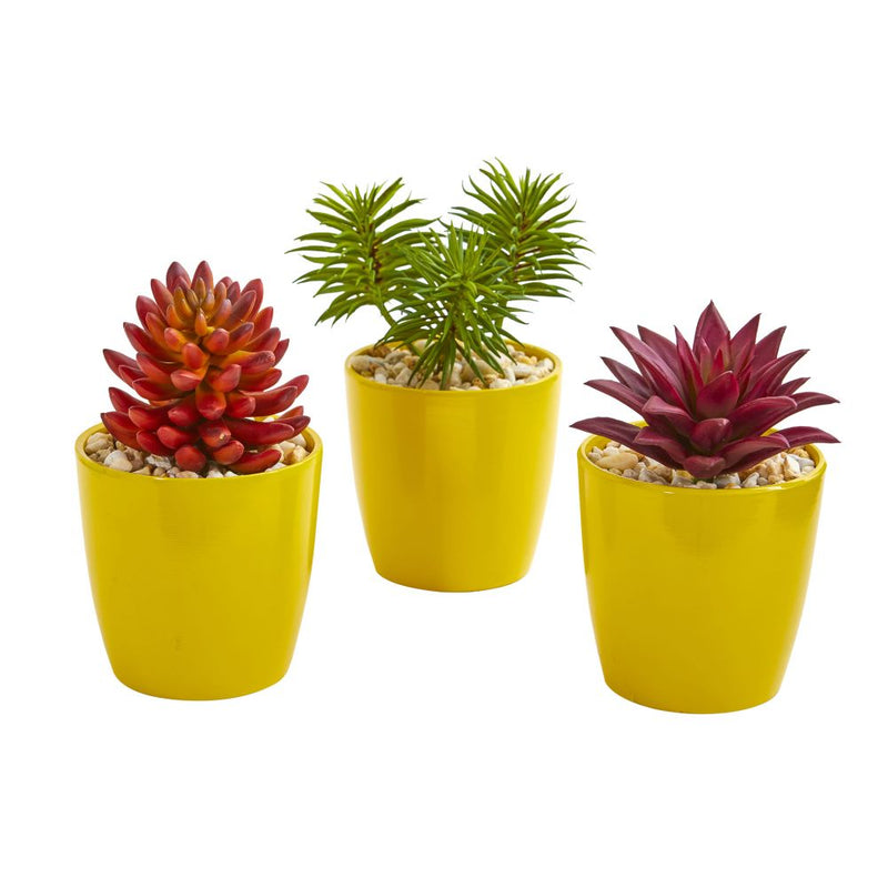 9” Mixed Succulent Artificial Plant in Yellow Vase (Set of 3) Default Title