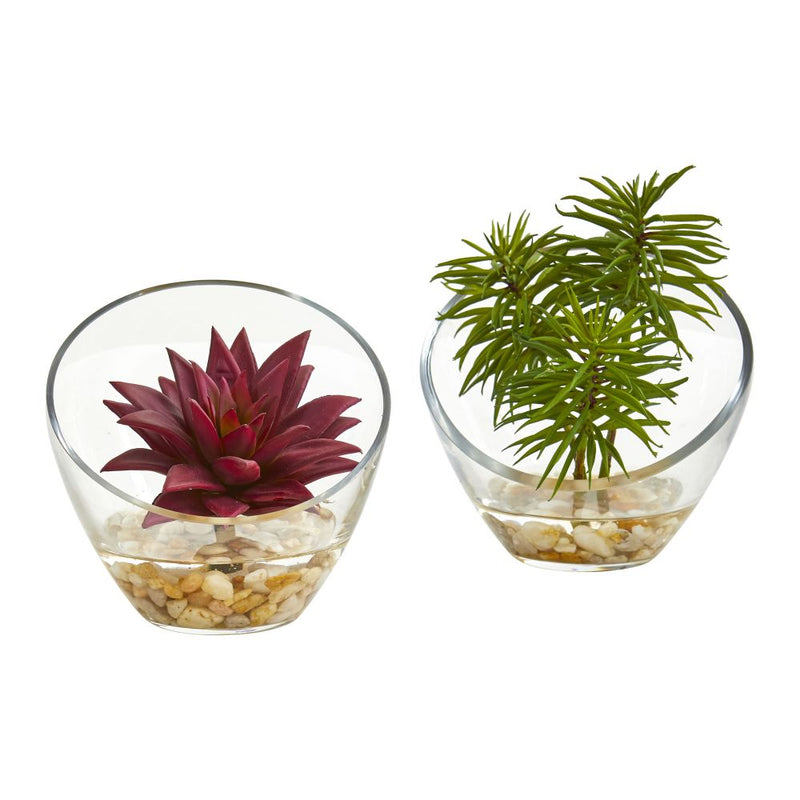 Succulent Artificial Plant in Slanted Glass Vase (Set of 2) Default Title