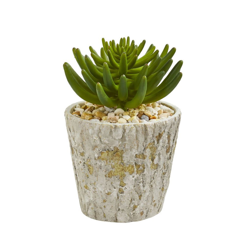 11” Succulent Artificial Plant in Weathered Oak Planter Default Title