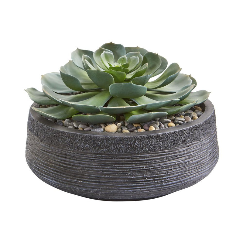 Giant Echeveria Succulent Artificial Plant Default Title