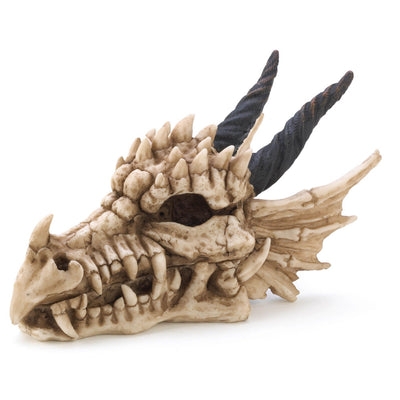 DRAGON SKULL TREASURE BOX Default Title