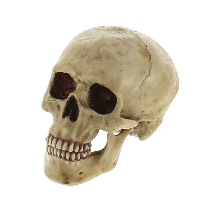 GRINNING SKULL Default Title