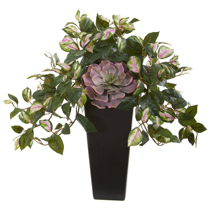 22” Echeveria Succulent and Hoya Artificial Plant in Black Vase Default Title