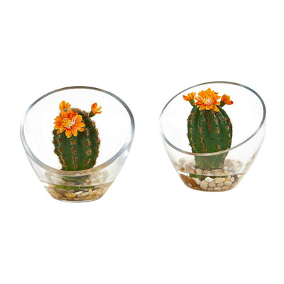 Flowering Cactus Artificial Plant in Glass Vase (Set of 2) Default Title