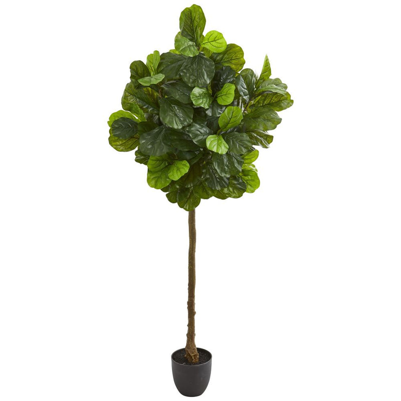 6’ Fiddle Leaf Artificial Tree (Real Touch) Default Title