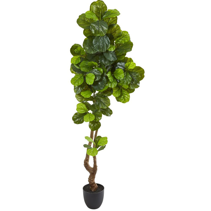 78” Fiddle Leaf Artificial Tree (Real Touch) Default Title