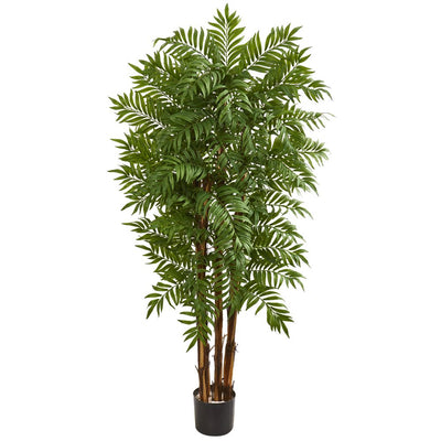 5.5’ Parlour Artificial Palm Tree Default Title