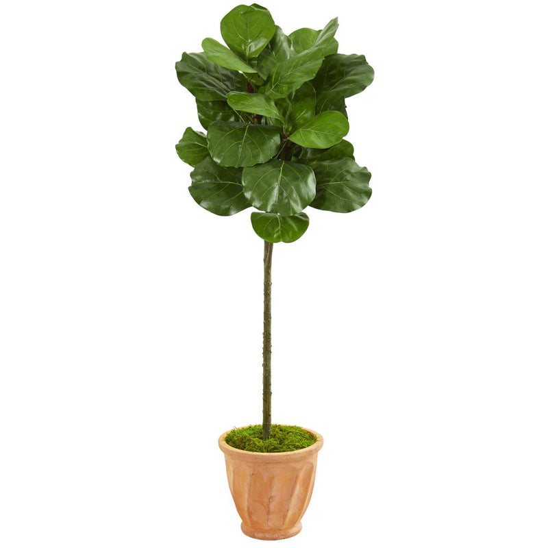 57” Fiddle Leaf Artificial Tree in Terra Cotta Planter Default Title