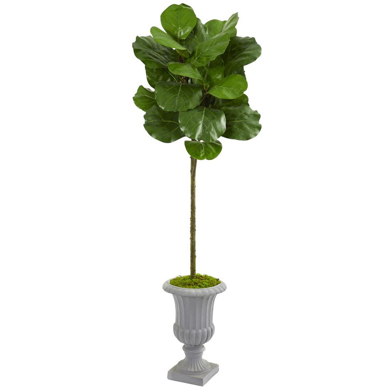 63” Fiddle Leaf Artificial Tree in Decorative Urn Default Title