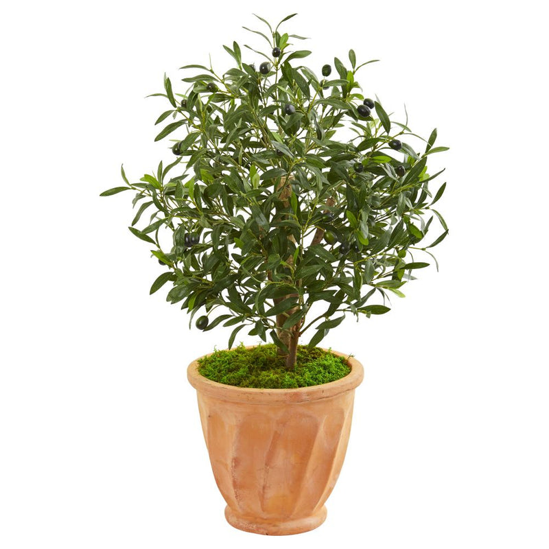 34” Olive Artificial Tree in Terra Cotta Planter Default Title