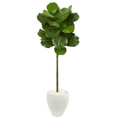 5’ Fiddle Leaf Artificial Tree in White Planter Default Title