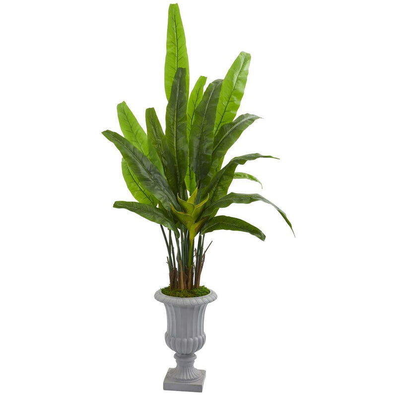 5.5’ Travelers Palm Artificial Tree in Gray Urn Default Title