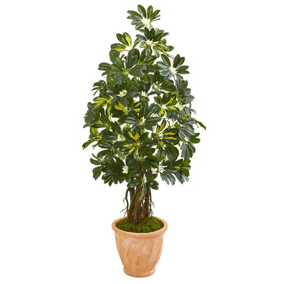 4.5’ Schefflera Artificial Tree in Terra Cotta Planter Default Title