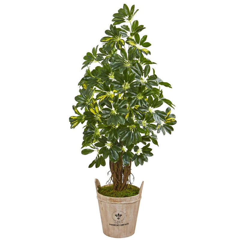 4.5’ Schefflera Artificial Tree in Farmhouse Planter Default Title