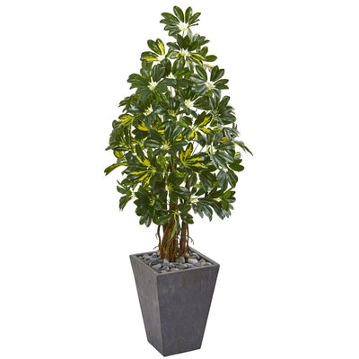 57” Schefflera Artificial Tree in Slate Planter Default Title