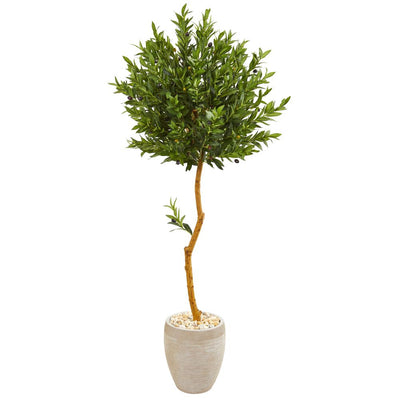 5.5’ Olive Topiary Artificial Tree in Sand Colored Planter UV Resistant (Indoor/Outdoor) Default Title