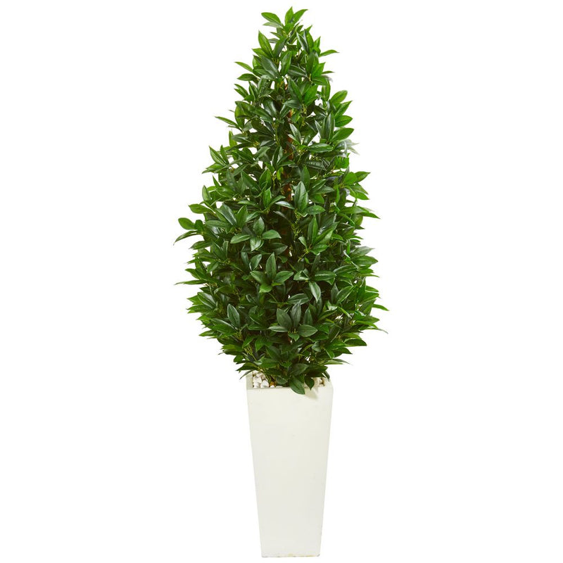 63” Bay Leaf Cone Topiary Artificial Tree in White Planter UV Resistant (Indoor/Outdoor) Default Title