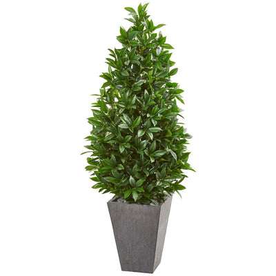 57” Bay Leaf Cone Topiary Tree in Slate Planter UV Resistant (Indoor/Outdoor) Default Title