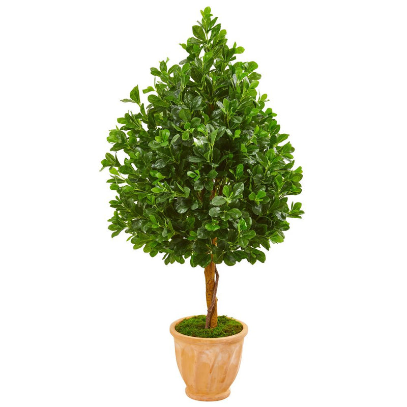 58” Evergreen Artificial Tree in Terra Cotta Planter Default Title