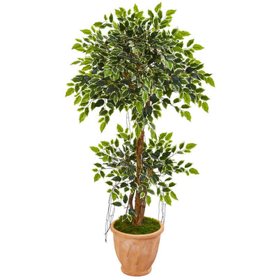 53” Variegated Ficus Artificial Tree in Terra Cotta Planter Default Title