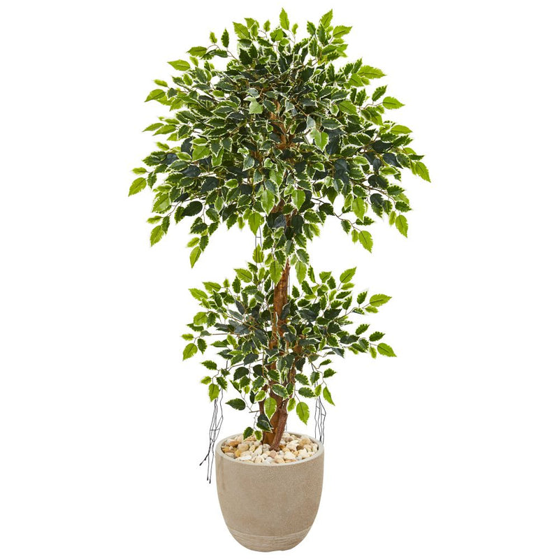 55” Variegated Ficus Artificial Tree in Sandstone Planter Default Title