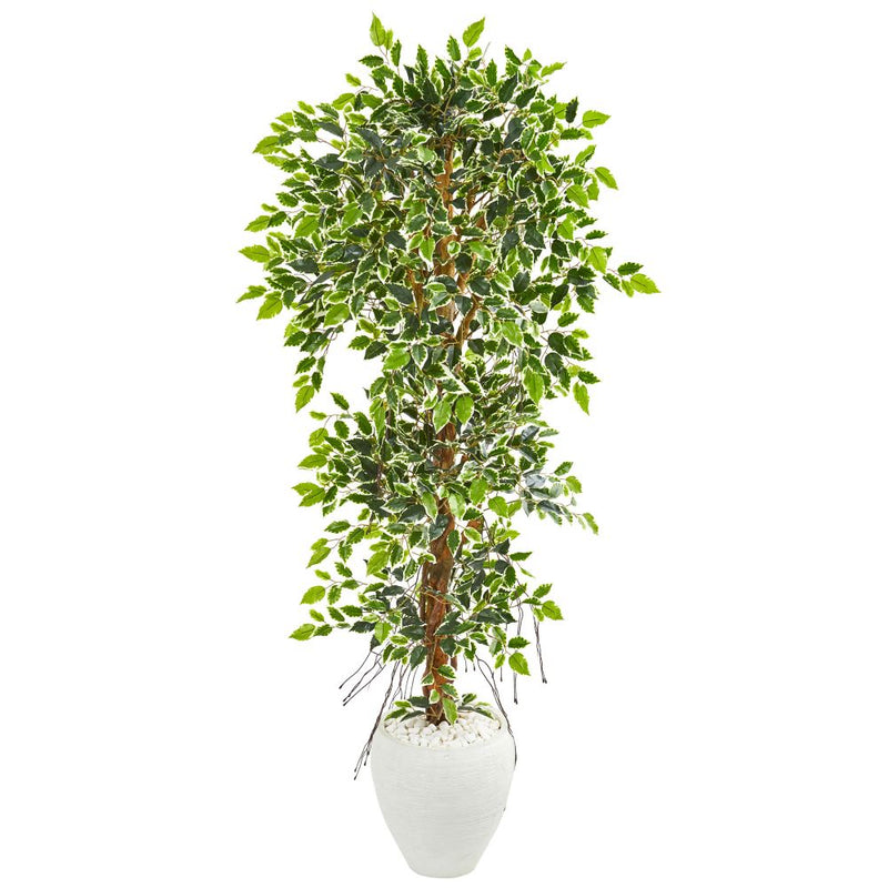 5.5’ Elegant Ficus Artificial Tree in White Planter Default Title