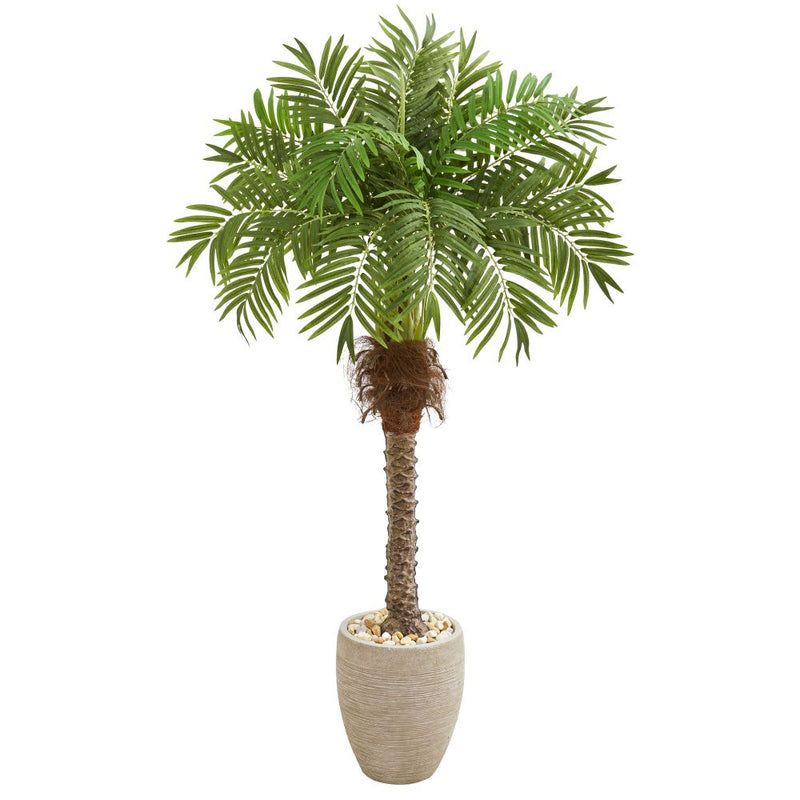 63” Robellini Palm Artificial Tree in Sandstone Planter Default Title