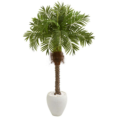 63” Robellini Palm Artificial Tree in White Planter Default Title