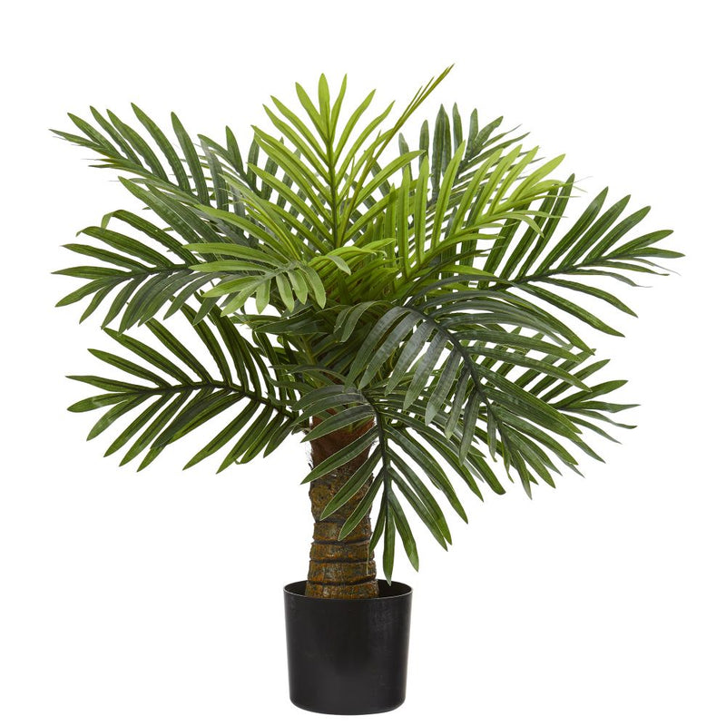 26” Robellini Palm Artificial Tree Default Title