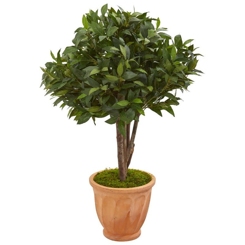 39” Bay Leaf Topiary Artificial Tree in Terra Cotta Planter Default Title