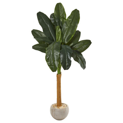 6’ Banana Artificial Tree in Sand Colored Bowl Default Title