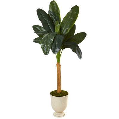 6’ Banana Artificial Tree in Decorative Urn Default Title